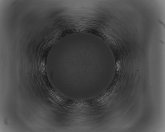 X0000091931011200709191355