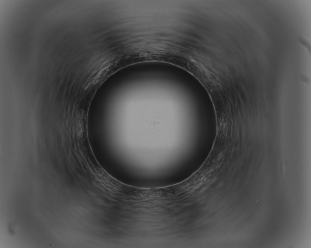 X0000091931012200709191355