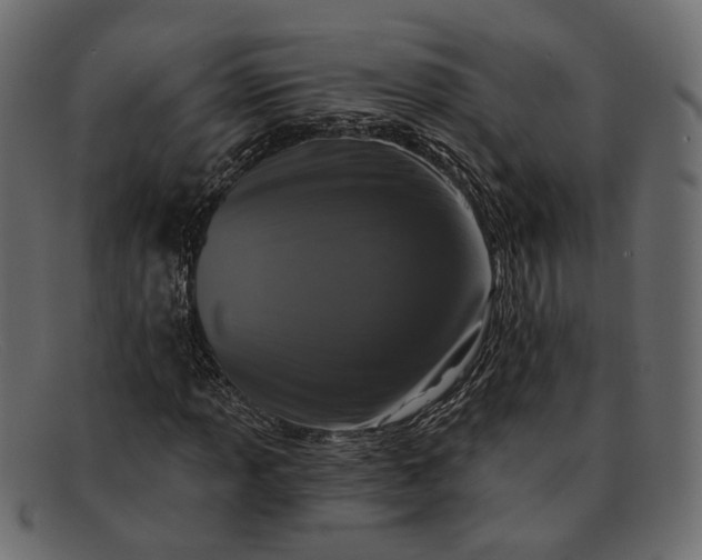 X0000091931013200709191355