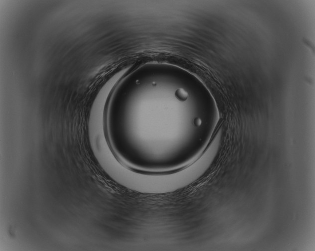 X0000091931014200709191355