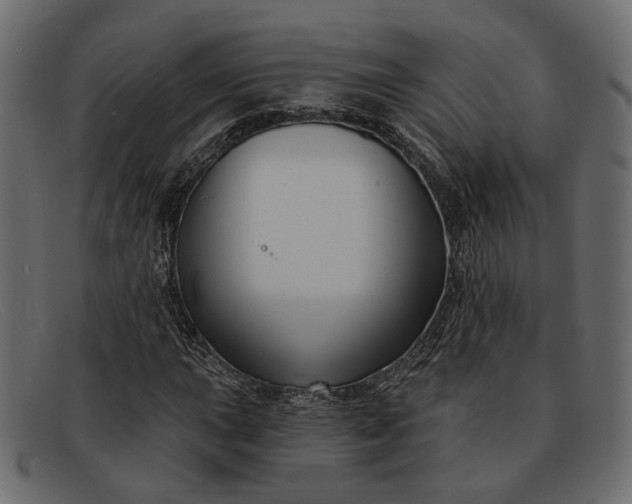 X0000091931015200709191355