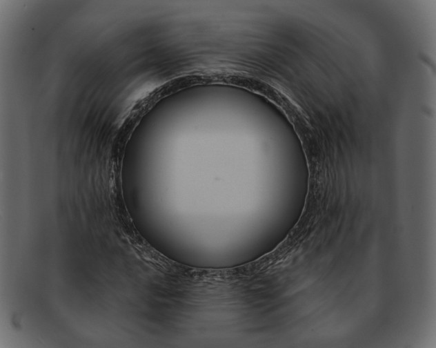 X0000091931016200709191355