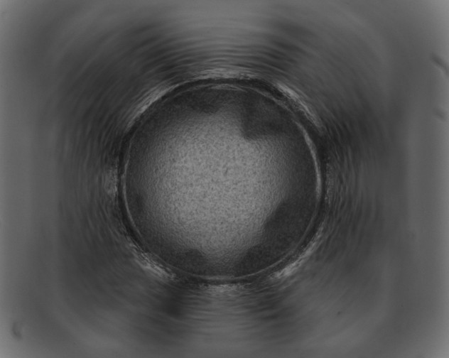 X0000091931017200709191355