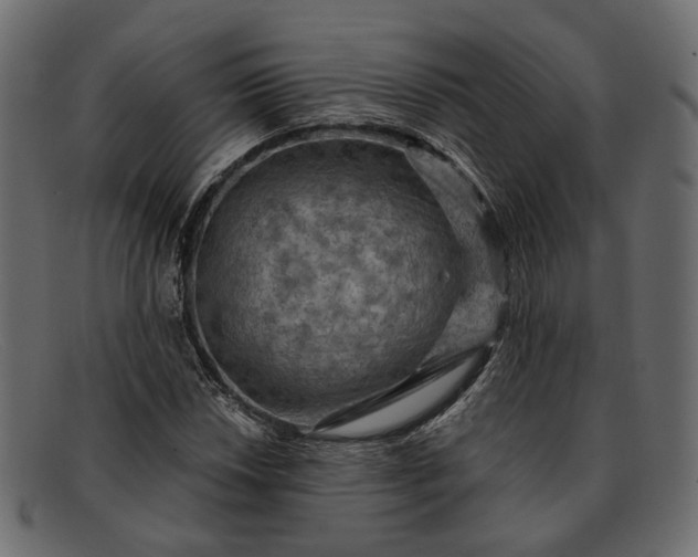 X0000091931018200709191355