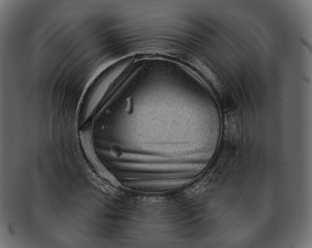X0000091931020200709191355
