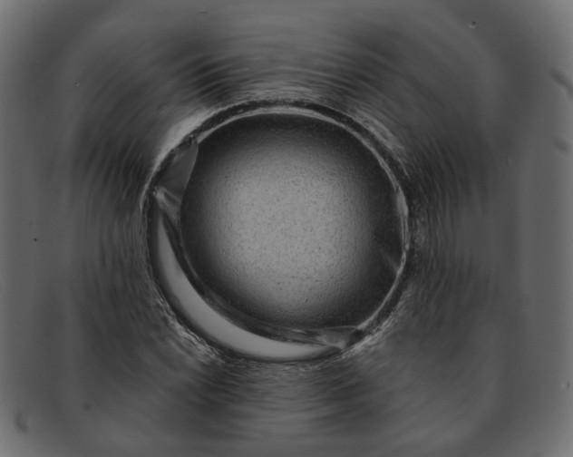 X0000091931022200709191355