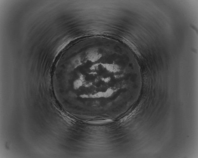 X0000091931023200709191355