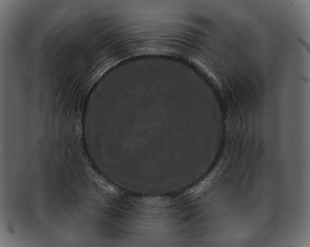 X0000091931025200709191355