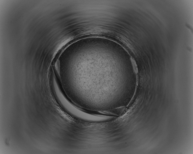X0000091931026200709191355