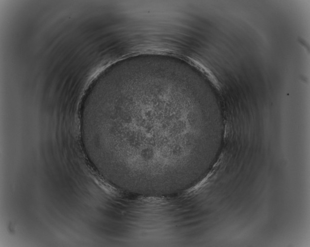 X0000091931027200709191355