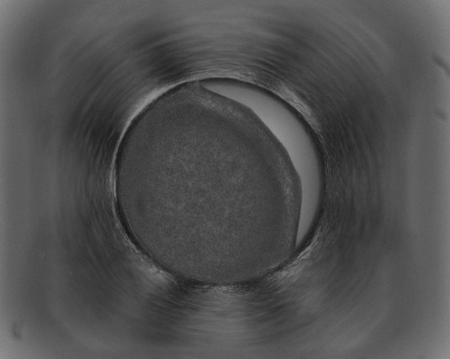 X0000091931028200709191355