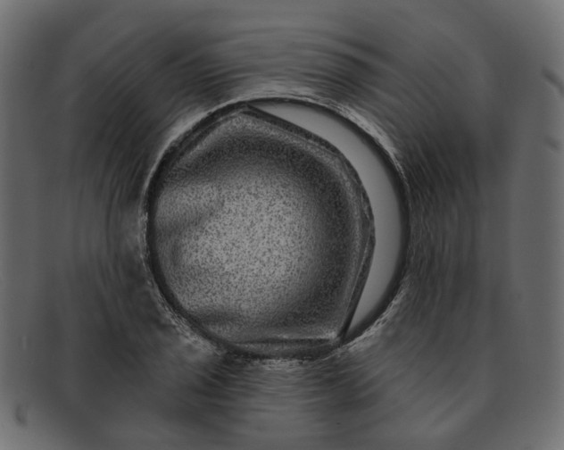 X0000091931029200709191355