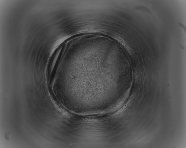 X0000091931030200709191355