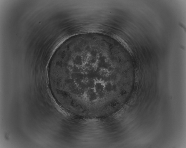 X0000091931031200709191356