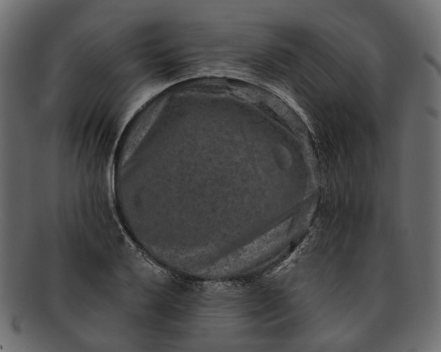 X0000091931032200709191356