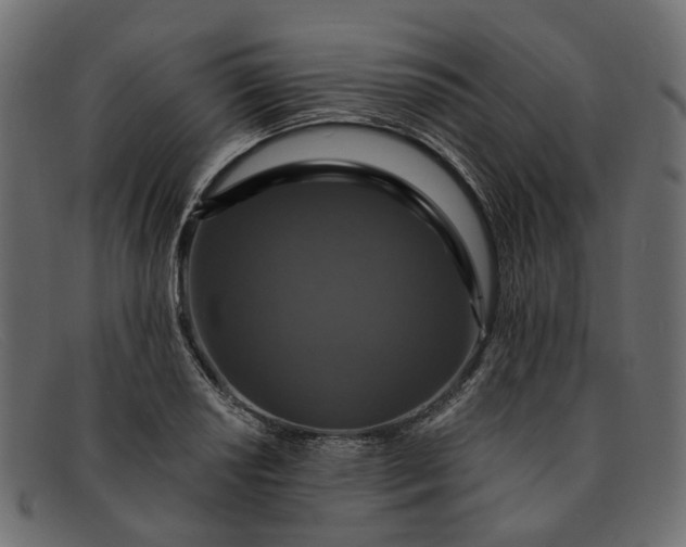 X0000091931034200709191356