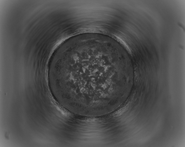 X0000091931035200709191356