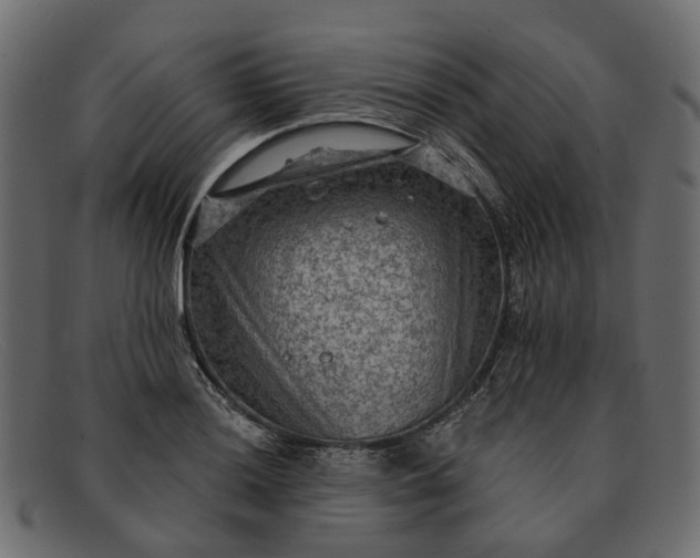 X0000091931036200709191356