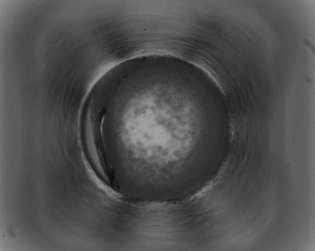 X0000091931038200709191356