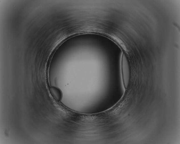 X0000091931039200709191356