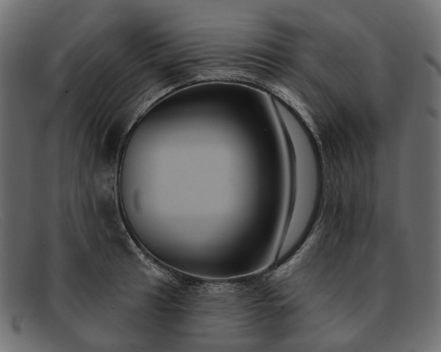 X0000091931041200709191356