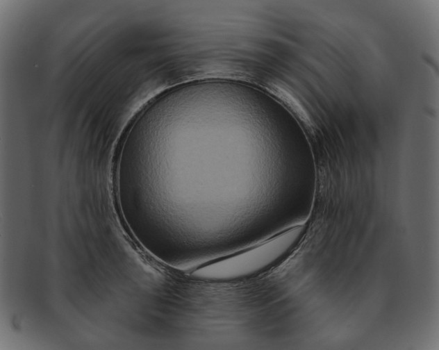 X0000091931043200709191356