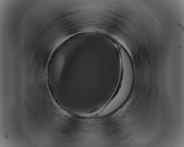 X0000091931045200709191356