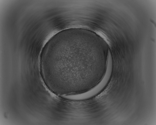 X0000091931046200709191356