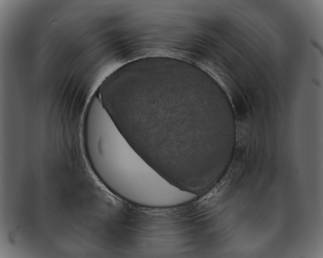 X0000091931048200709191356
