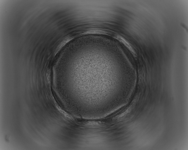 X0000091931049200709191356