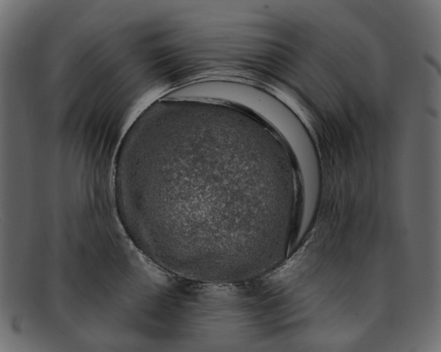 X0000091931050200709191356