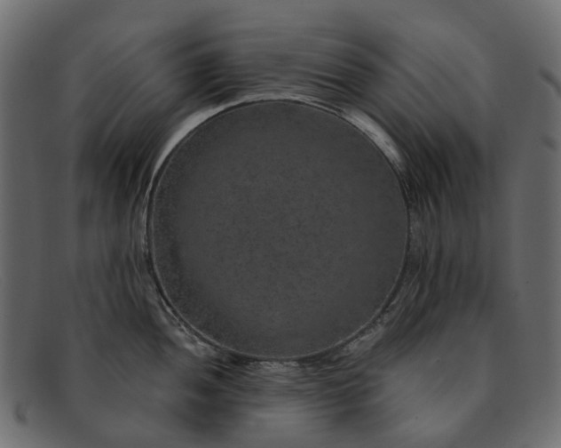 X0000091931052200709191356
