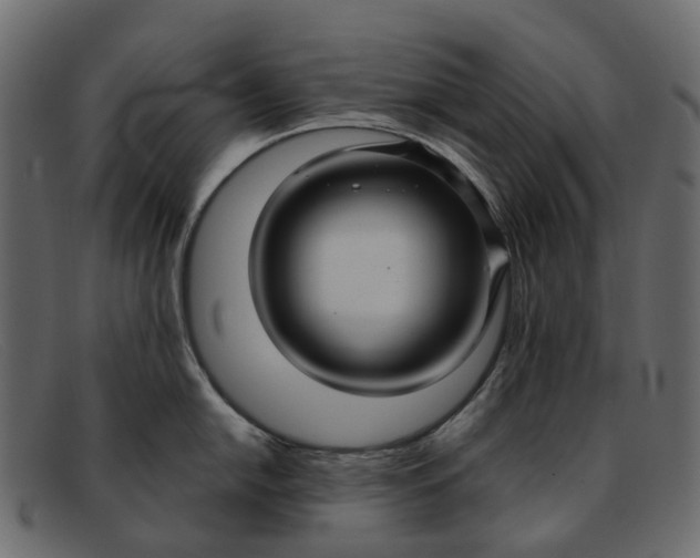 X0000091931054200709191356