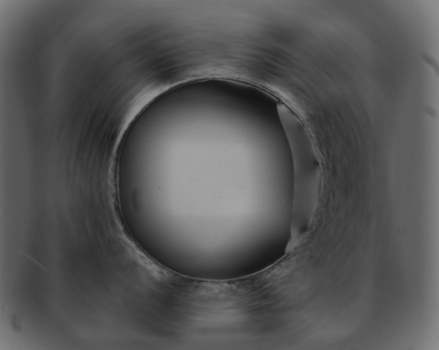 X0000091931056200709191356