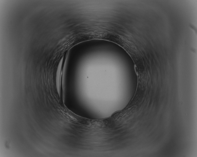 X0000091931058200709191355