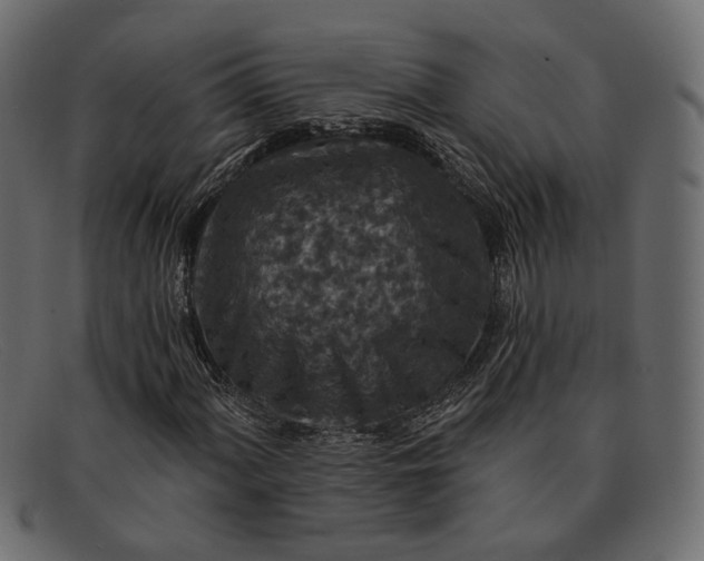 X0000091931060200709191355