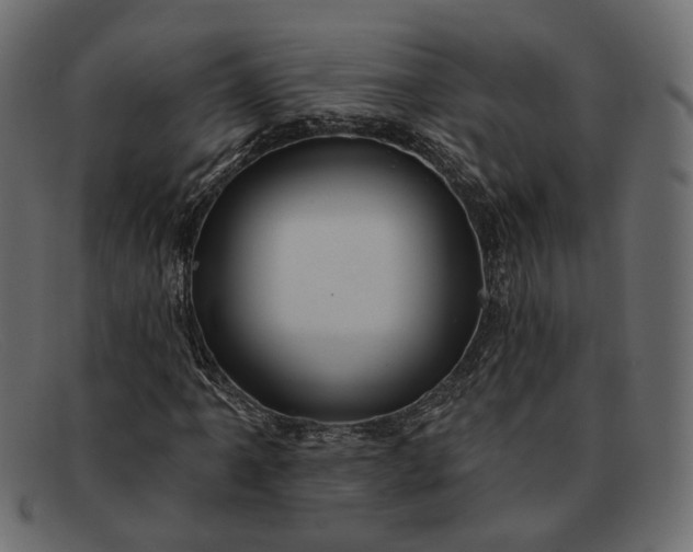 X0000091931061200709191355
