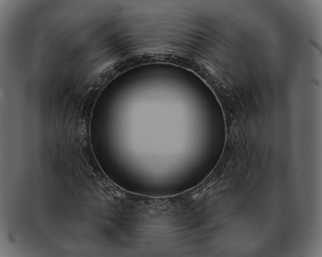 X0000091931062200709191355
