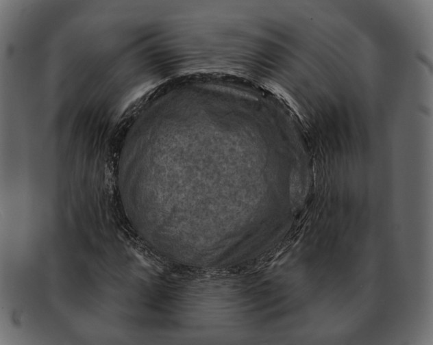 X0000091931064200709191355