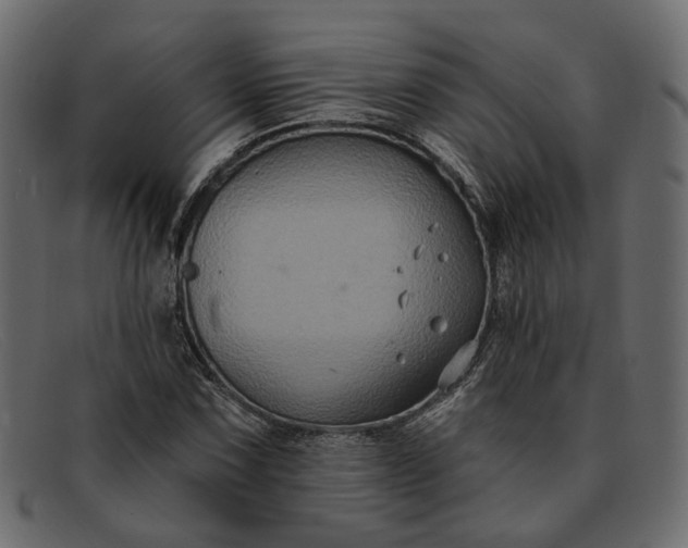 X0000091931067200709191355