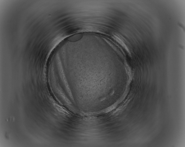 X0000091931068200709191355