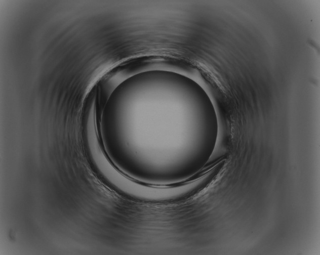 X0000091931069200709191355