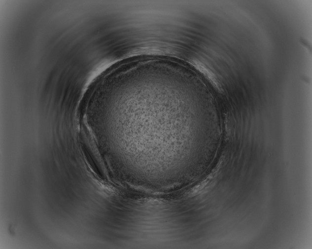 X0000091931070200709191355