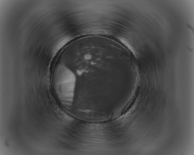 X0000091931071200709191355