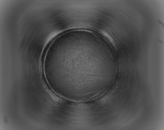 X0000091931072200709191355
