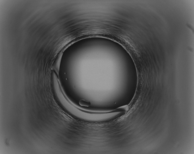 X0000091931073200709191355