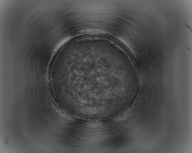 X0000091931074200709191355