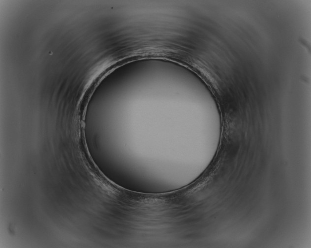 X0000091931075200709191355