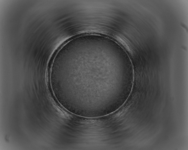 X0000091931076200709191355