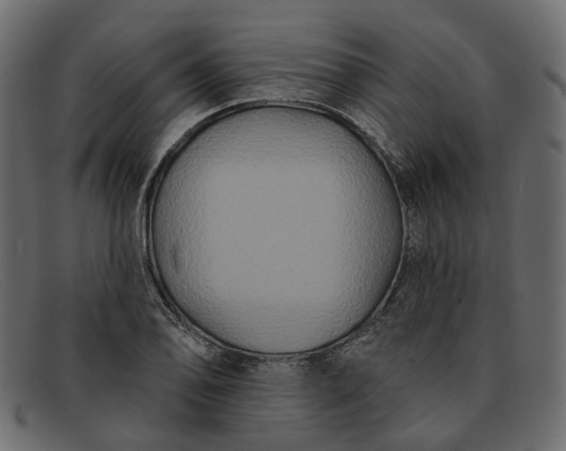X0000091931078200709191355